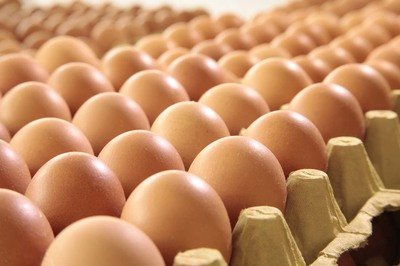 乌海鸡蛋检测价格,鸡蛋检测机构,鸡蛋检测项目,鸡蛋常规检测